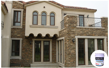 供應多樂士8600專業彈性外墻漆20L工程面漆——打造卓越建筑外衣